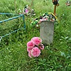 Путилина Таисия Алексеевна