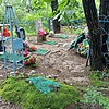 Шейко Мария Николаевна