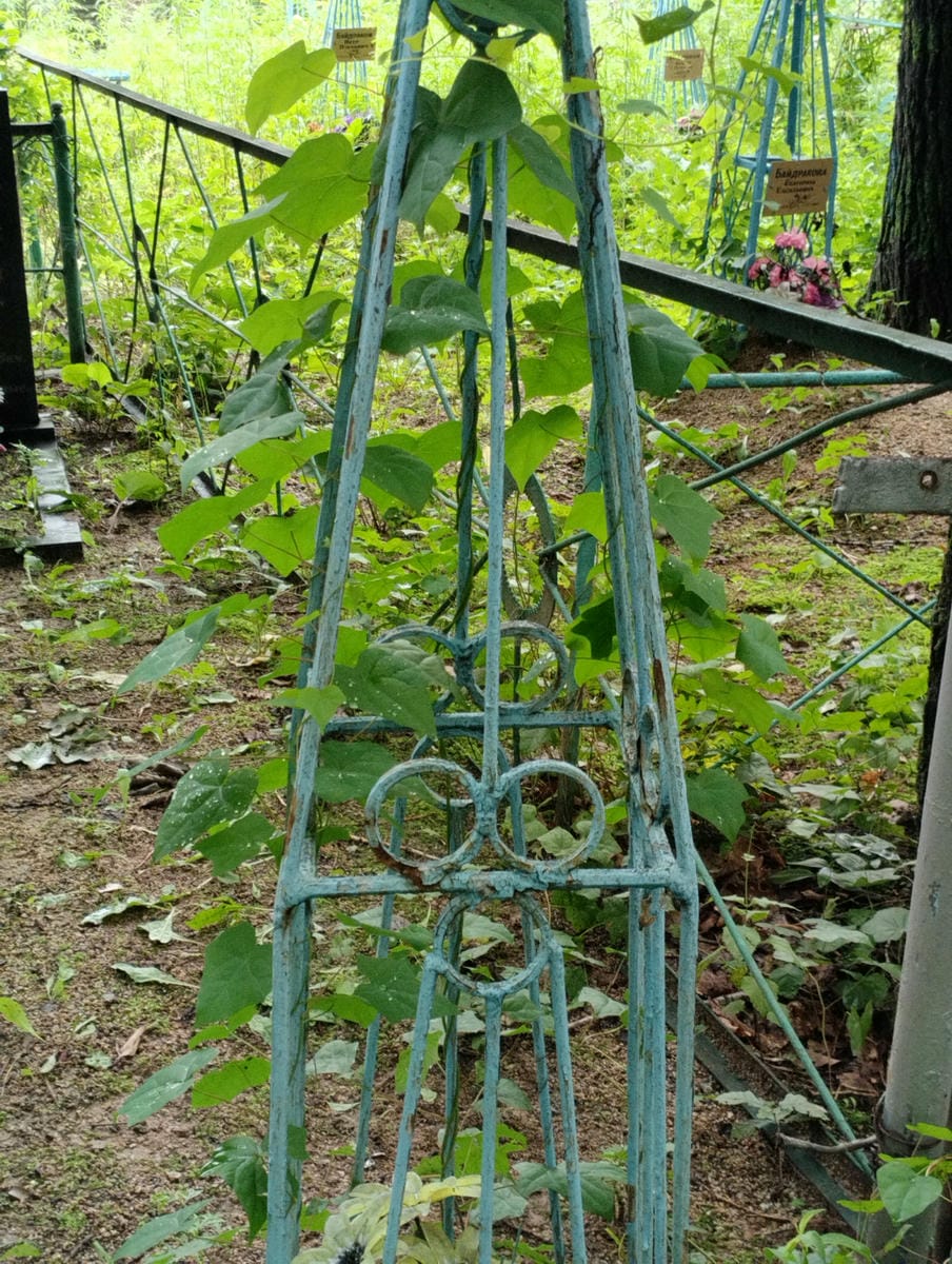 c89114b1-a6ed-4919-8641-85350c9d0a25 Неизвестно Неизвестно Неизвестно