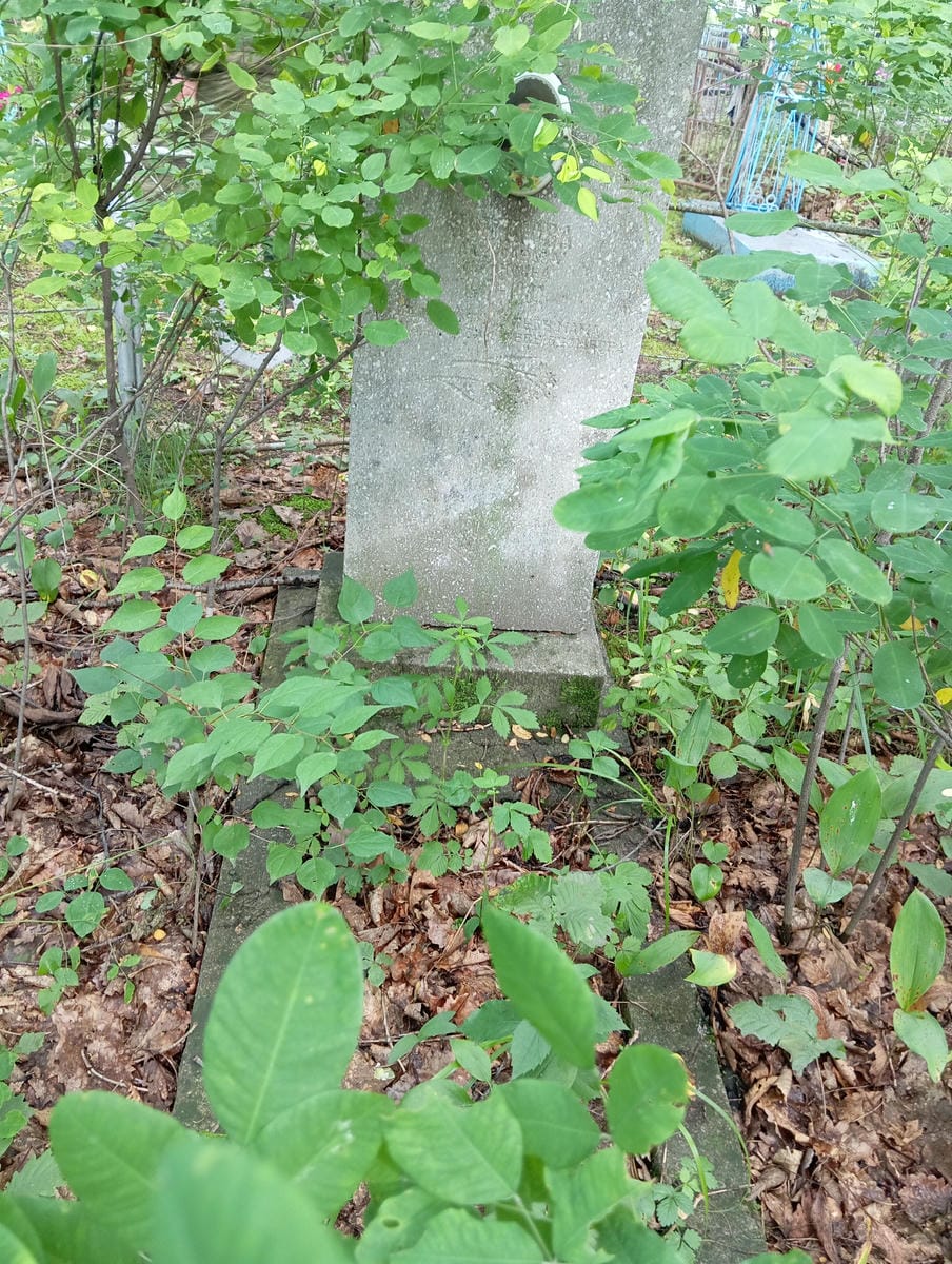 c8f522ac-4624-467d-a65e-ed6c48735374 Новикова Александра Неизвестно
