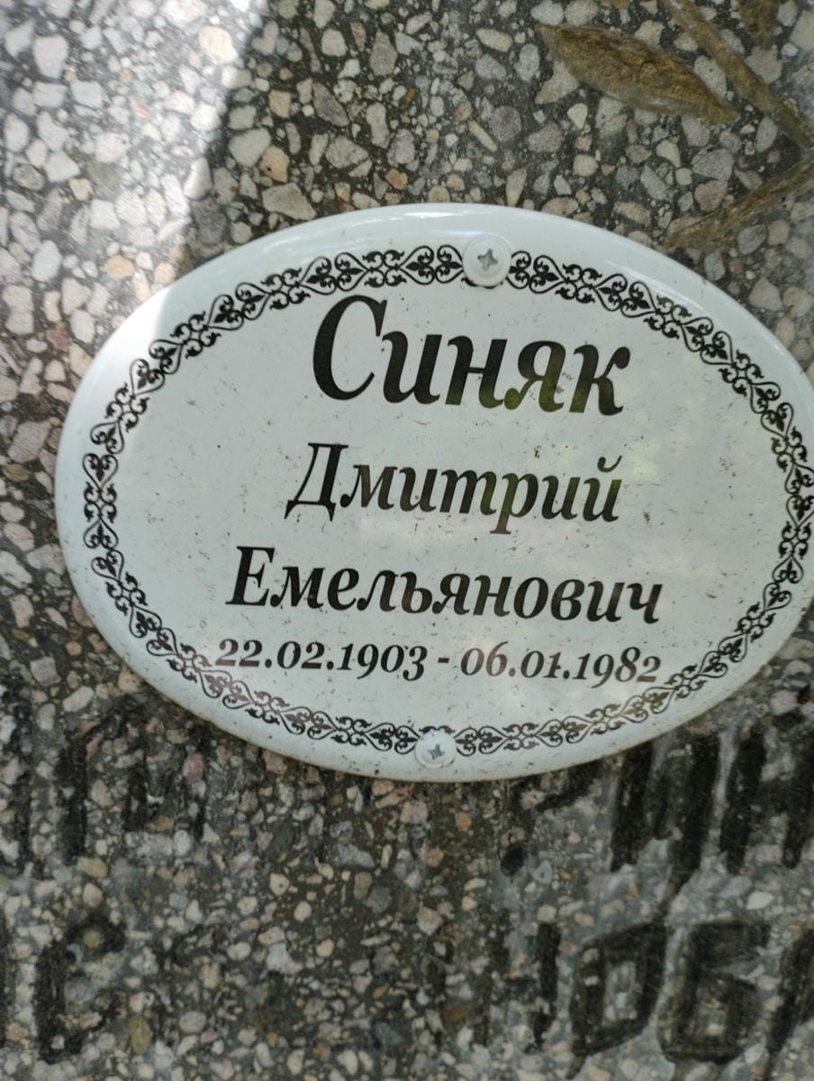 c9f1c325-7d7d-4c08-8a64-2b4a7fda4271 Синяк Дмитрий Емельянович