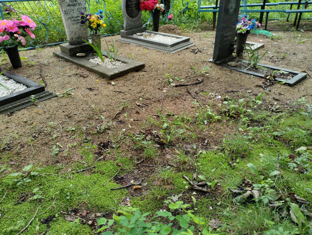 ca79adf8-e5cf-45ce-bcab-a67351ade12f Неизвестно Неизвестно Неизвестно