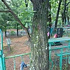Неизвестно Неизвестно Неизвестно