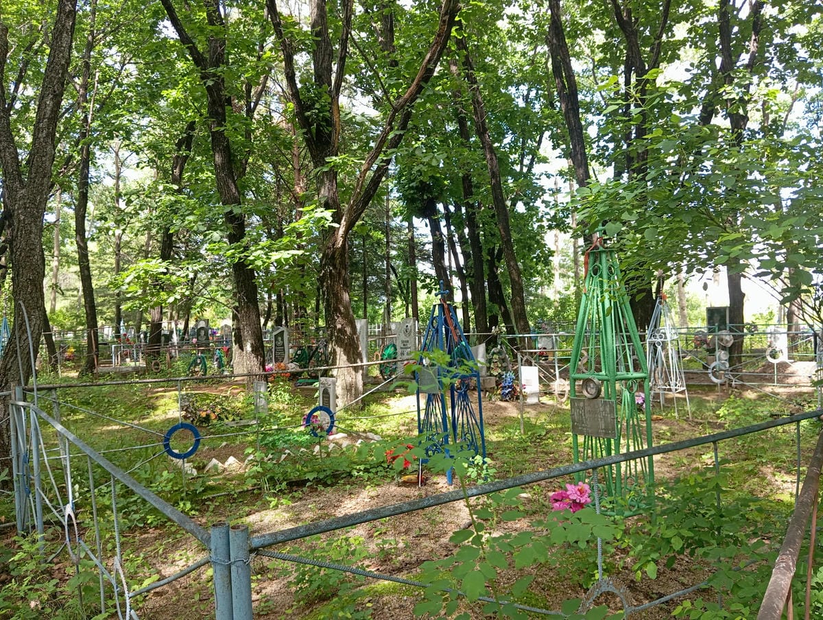 ce35d4f2-8e01-4dfe-8616-b88318b361ec Боровик Яков Павлович