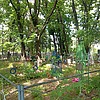 Боровик Дарья Михайловна