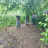 Бойко Галина Николаевна