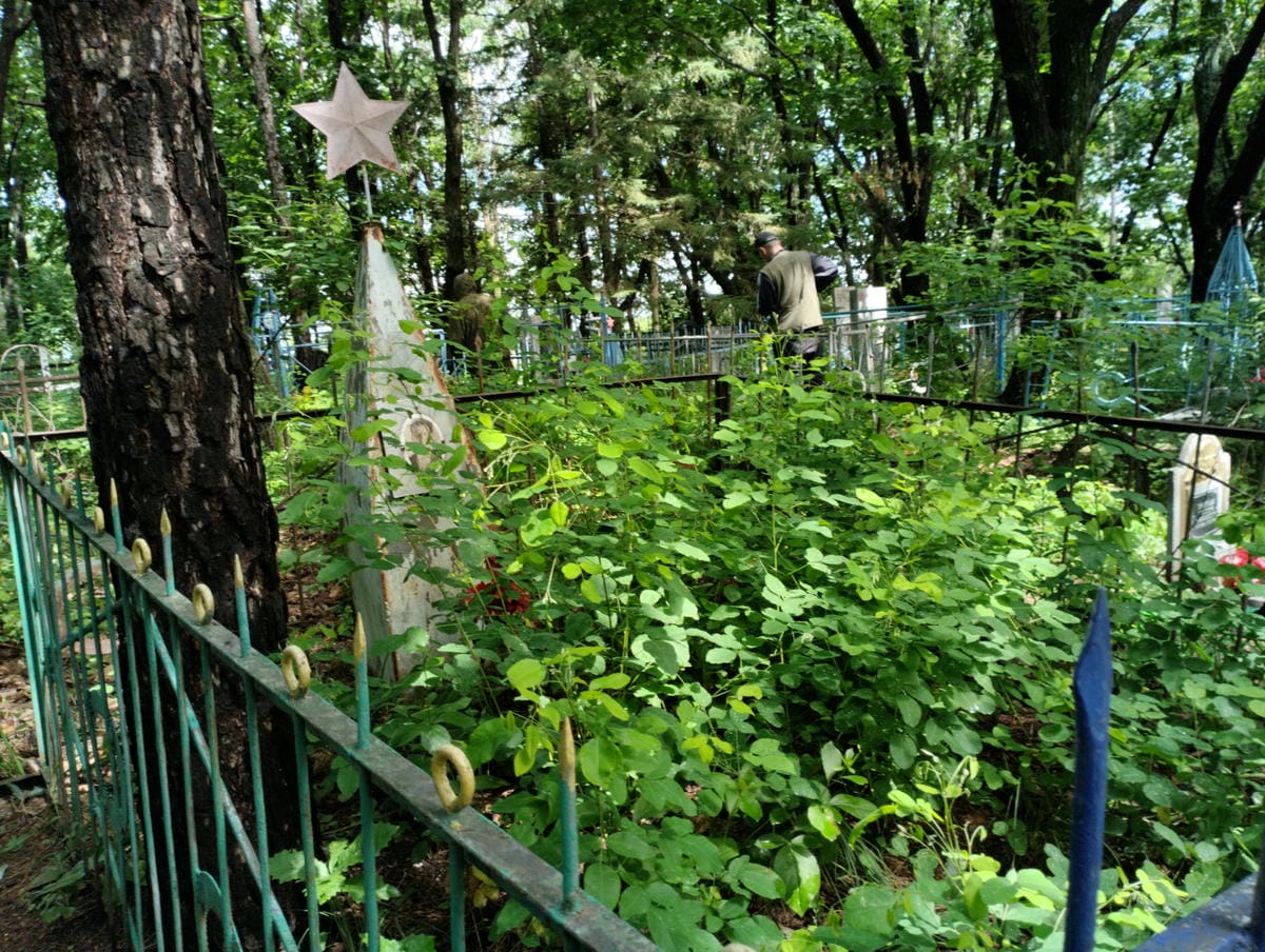 d0e53cdf-0d4d-4097-a7ba-e797932e5d41 Неизвестно Неизвестно Неизвестно