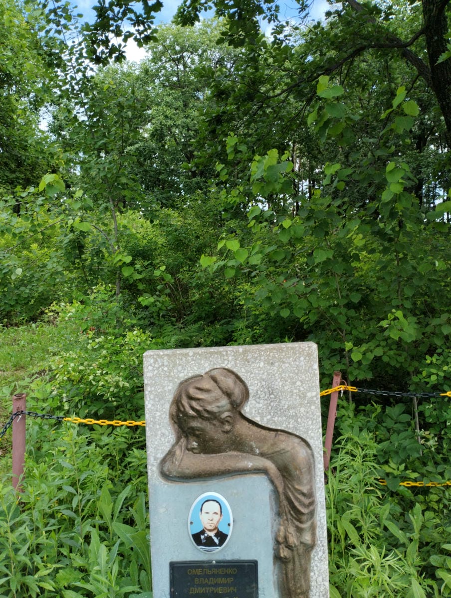 d0fa79e2-0371-499c-bb4b-2784d9e2a08a Омельяненко Владимир Дмитриевич