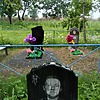Принцев Герман Витальевич