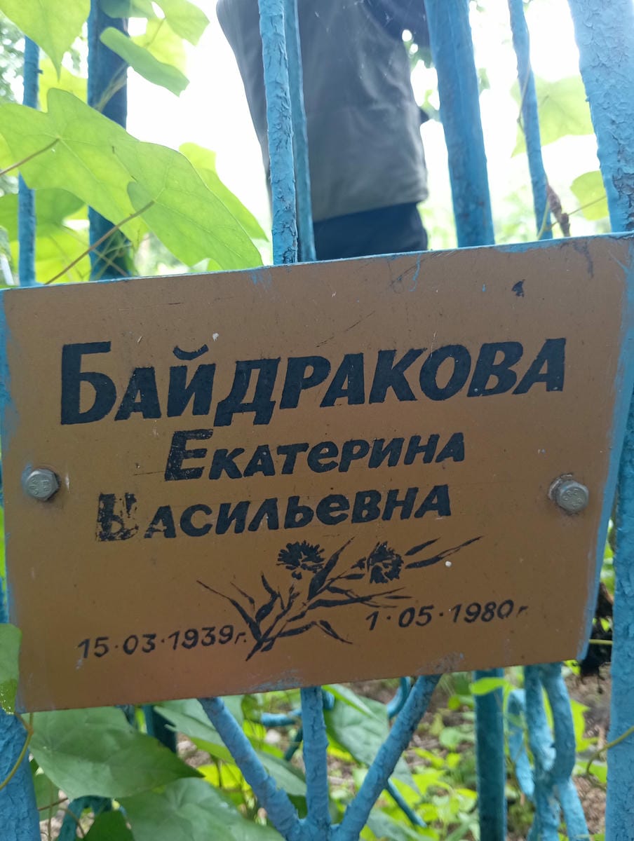 d31bc16a-e843-400c-9c3f-57eb182b6780 Байдракова Екатерина Васильевна