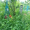 Власов Владимир Васильевич
