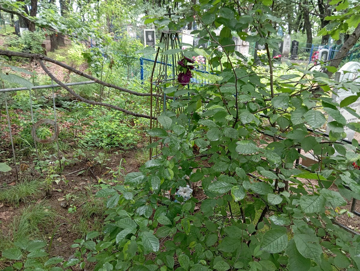 d425f776-bb47-472b-b15c-594d31e3a4d7 Неизвестно Неизвестно Неизвестно