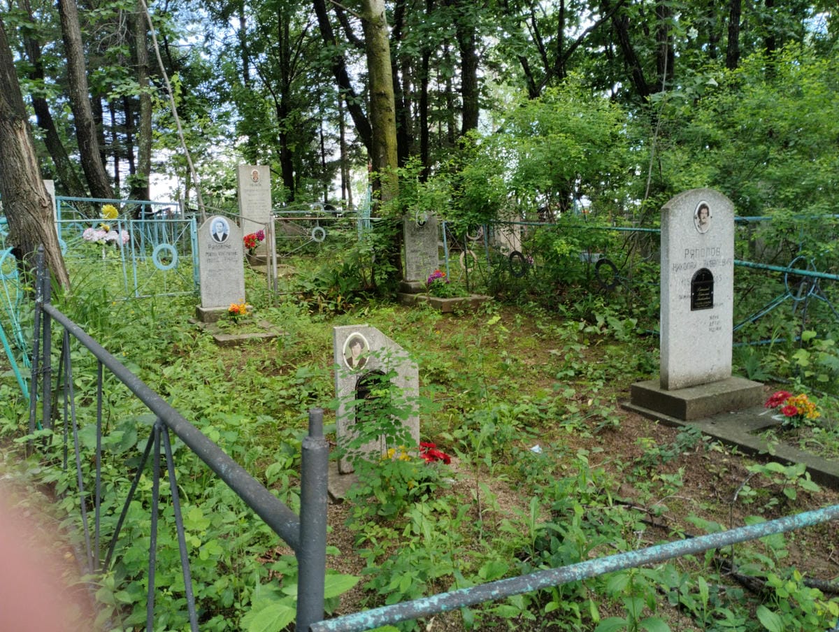 d4297527-2b56-4a06-a407-e7c50cf8acfe Ряполова Мария Николаевна