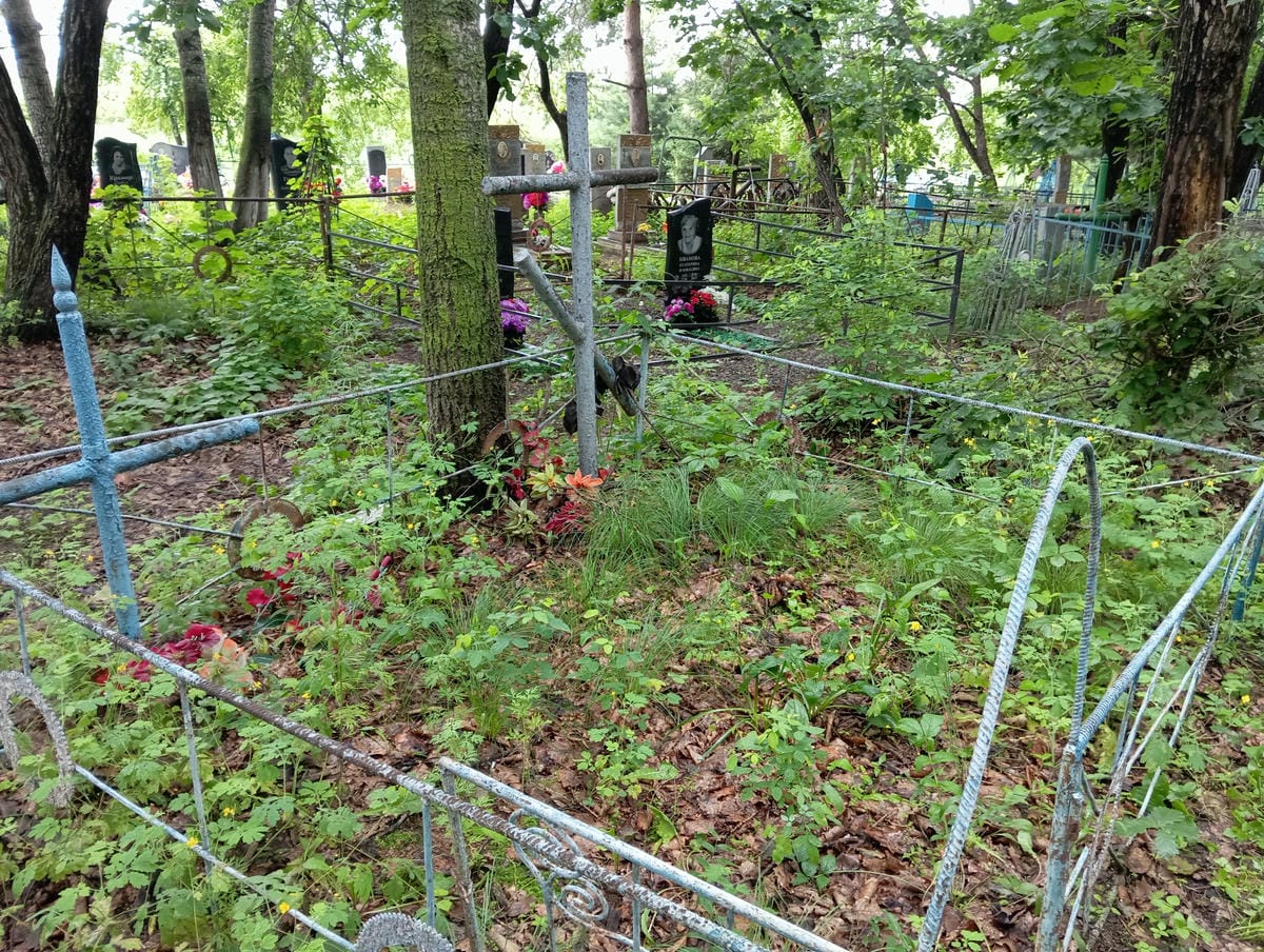 d5193f98-ef3d-46f2-855b-cdedcf1eaad0 Неизвестно Неизвестно Неизвестно