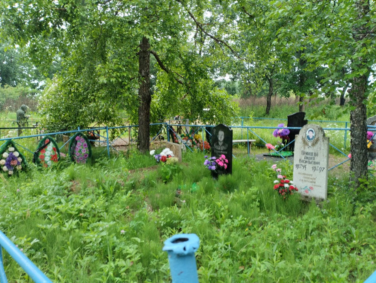 Принцева Лидия Васильевна