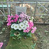 Дегтерева Таисья Григорьевна