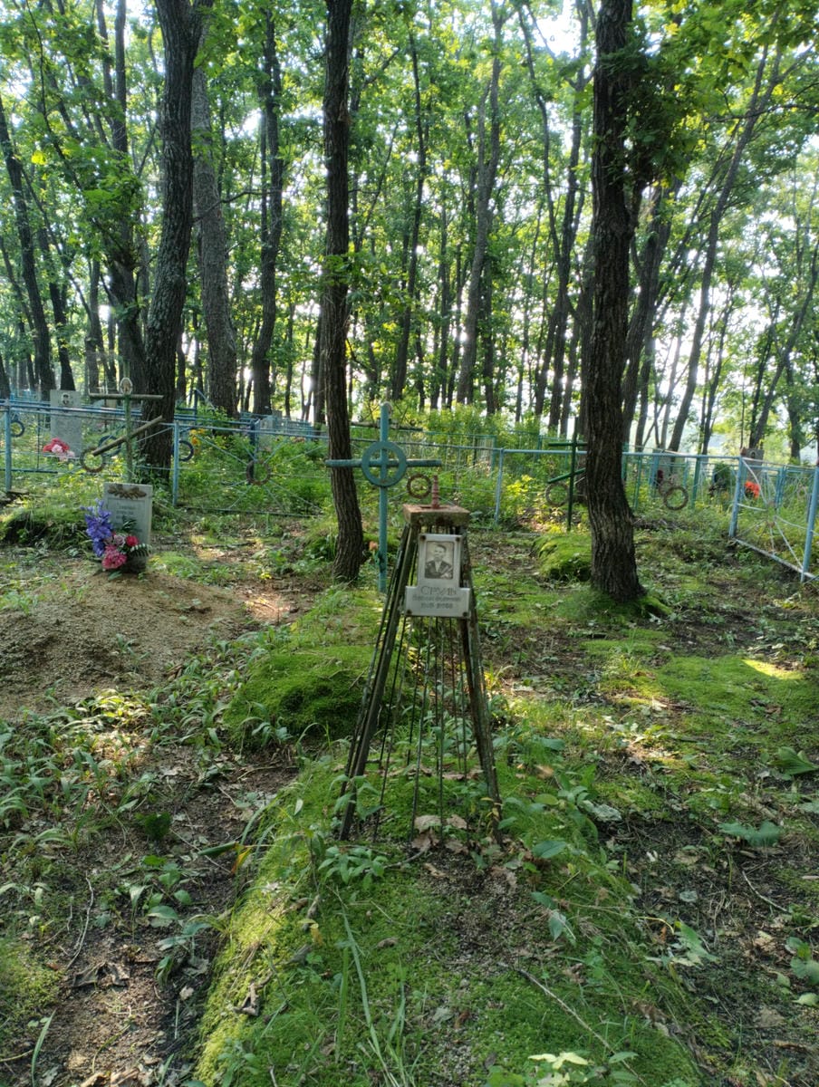 Сруль Николай Федорович