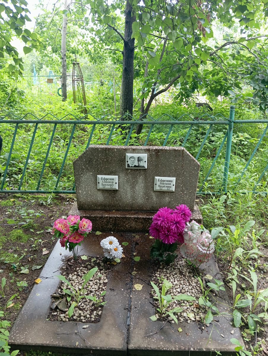 d626a6b3-279f-4e9c-8e68-75cf052d5208 Ефремова Анастасия Михайловна