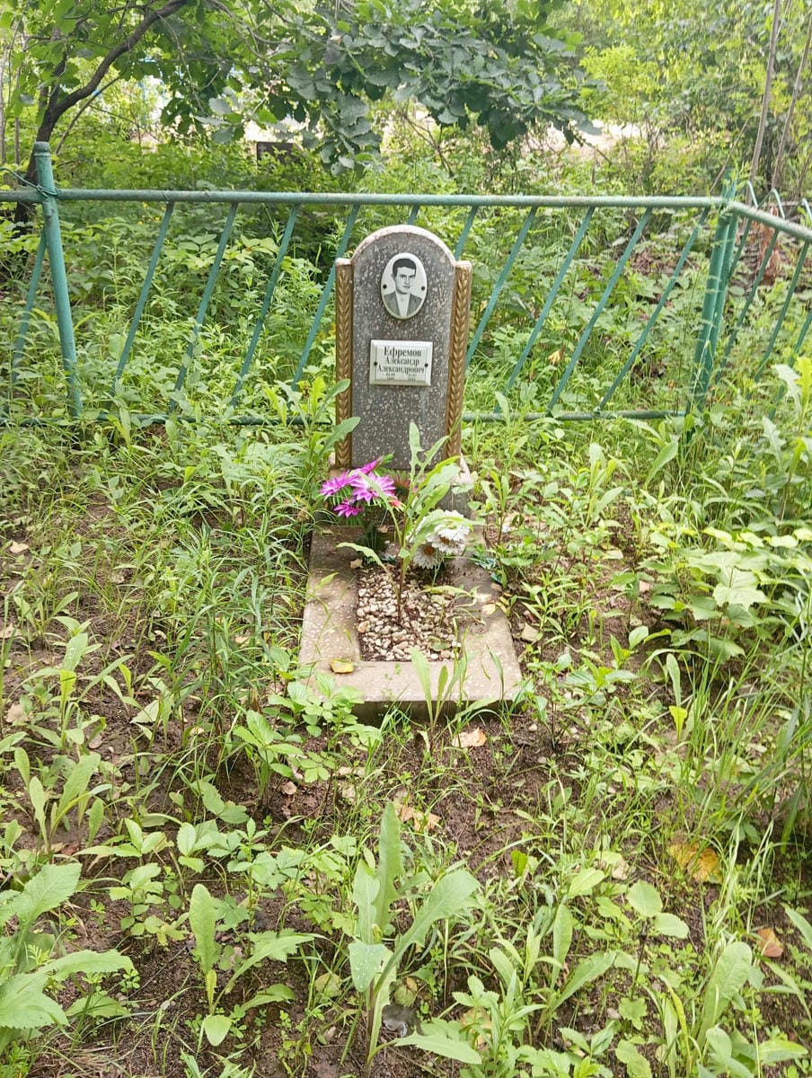 d79a674a-c834-40be-a150-6e8e1e56664a Ефремов Александр Александрович