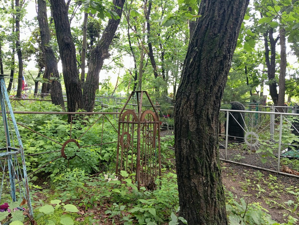 d82b8f6d-966a-44d6-967c-4755a9808fc8 Неизвестно Неизвестно Неизвестно