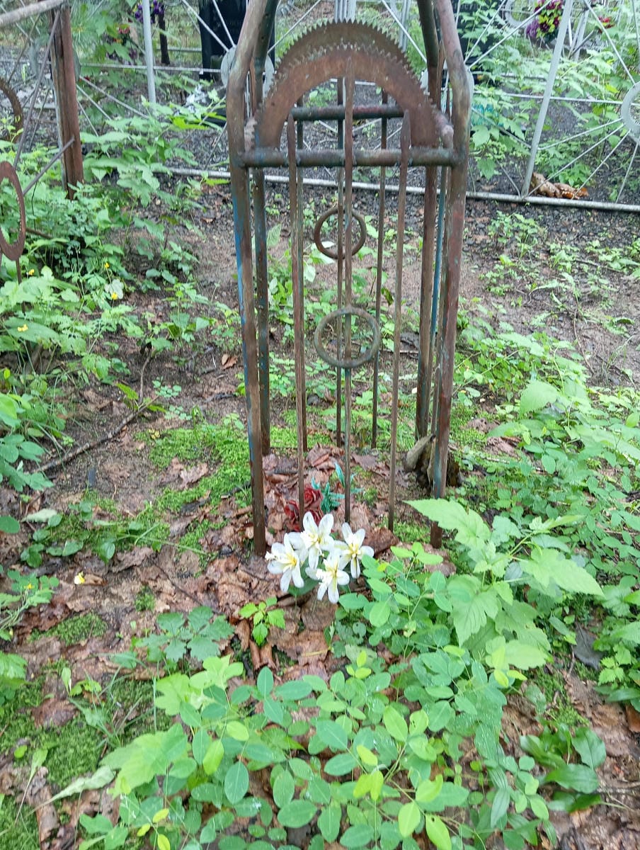 d850d399-ad25-4887-a3a5-0e0a7fdde6f9 Неизвестно Неизвестно Неизвестно