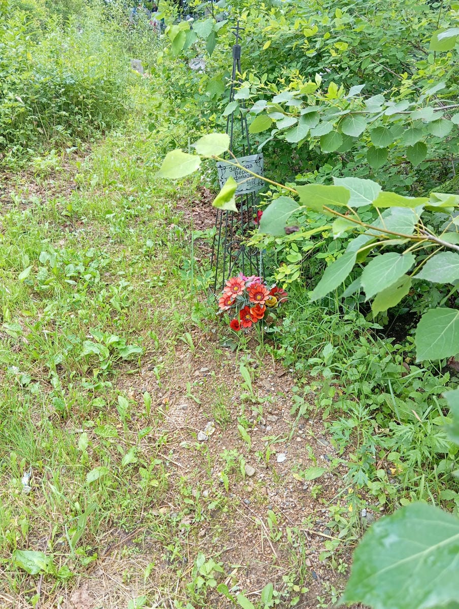 e0171669-1f1f-4b18-82b1-b012930fbcf0 Заброда Вера Трофимовна