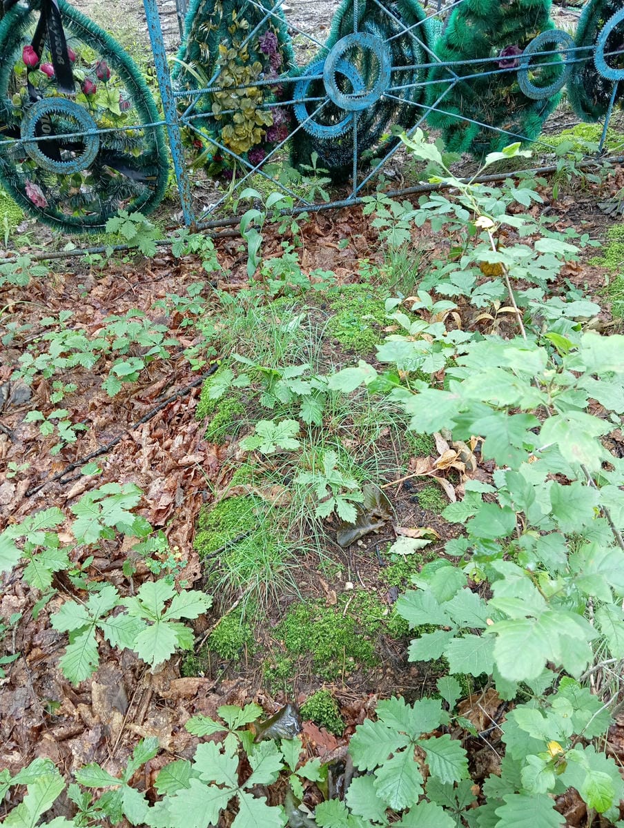 Неизвестно Неизвестно Неизвестно