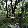 Афонченко Мария Трофимовна