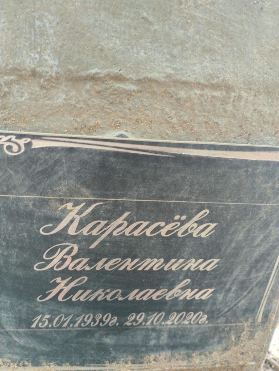 e2a927f9-e415-4987-95bd-c5432ebf17a8 Карасёва Валентина Николаевна