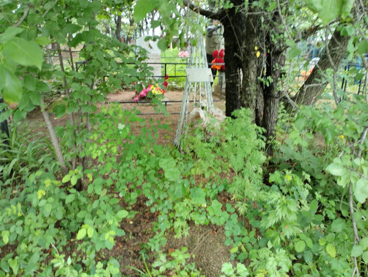 e2afccfd-e310-4f1d-94f2-704ed5500297 Оноприенко Вера Тимофеевна