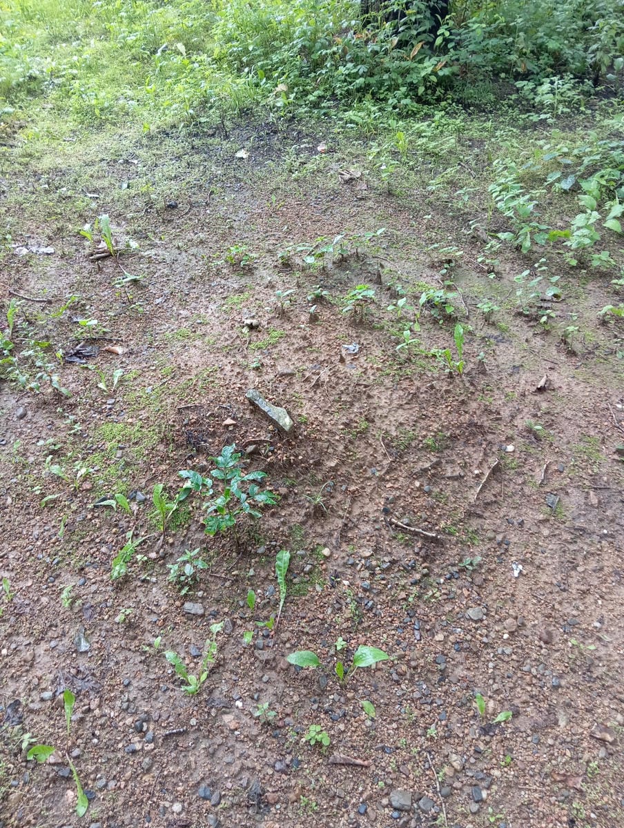 Неизвестно Неизвестно Неизвестно