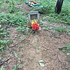 Кравченко Любовь Владимировна
