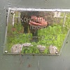 Константинова Леночка Неизвестно