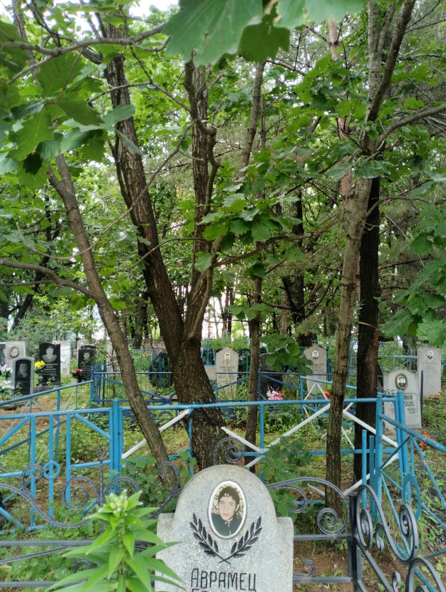 e5a569b3-62be-4231-b61c-f2fc9828d3e1 Аврамец Евгений Александрович