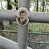 Неизвестно Неизвестно Неизвестно