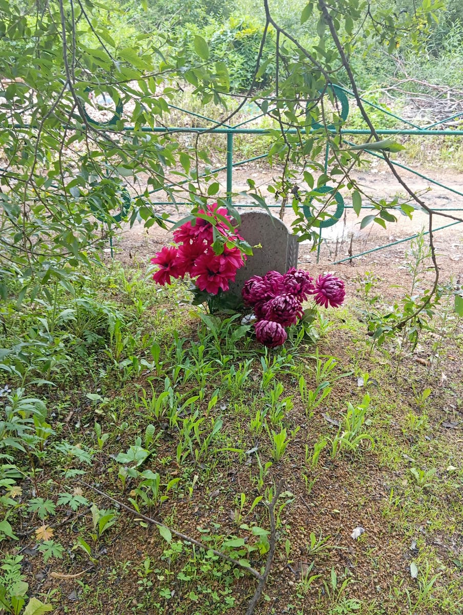 eaa9d545-6470-45a6-97fd-3e60bf020824 Неизвестно Неизвестно Неизвестно