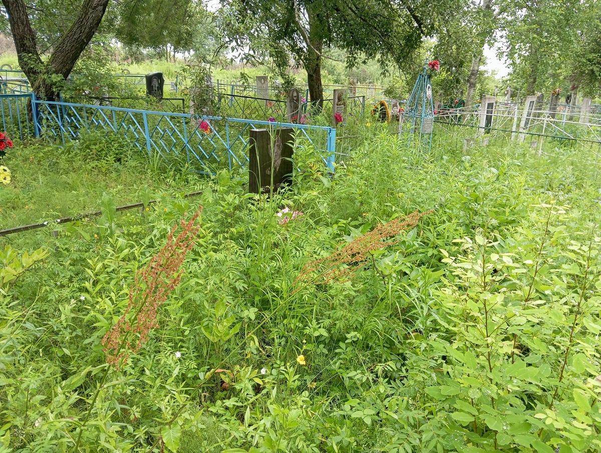 eb32ca34-289d-47e7-856d-6858b7a3ff8c Щедривый Семен Андреевич