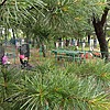 Брылёва Анна Архиповна