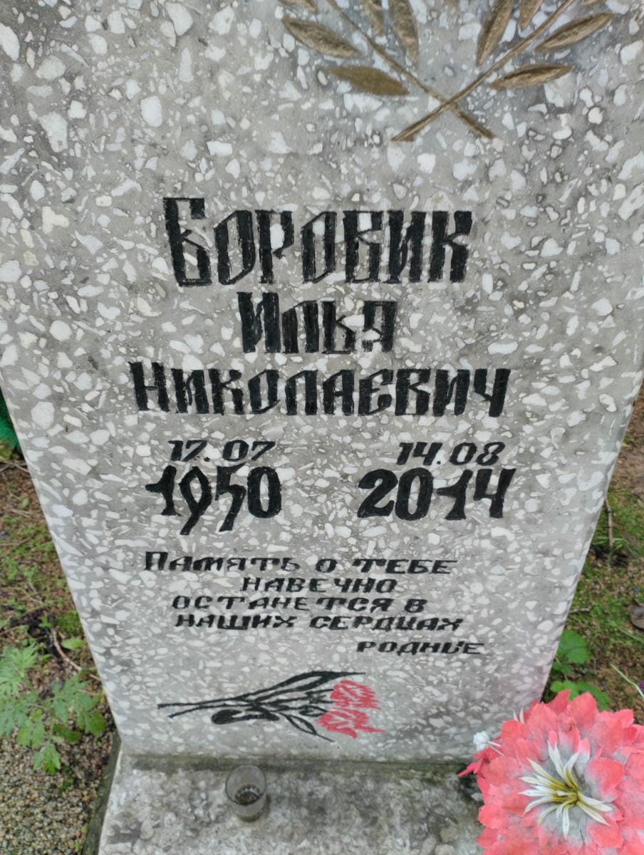 Боровик Илья Николаевич