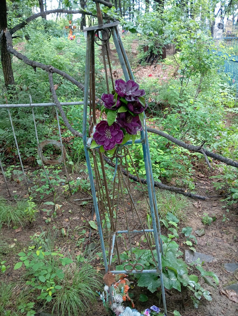 ee7f6d75-8f09-4162-adc5-aa1fd22f7669 Неизвестно Неизвестно Неизвестно