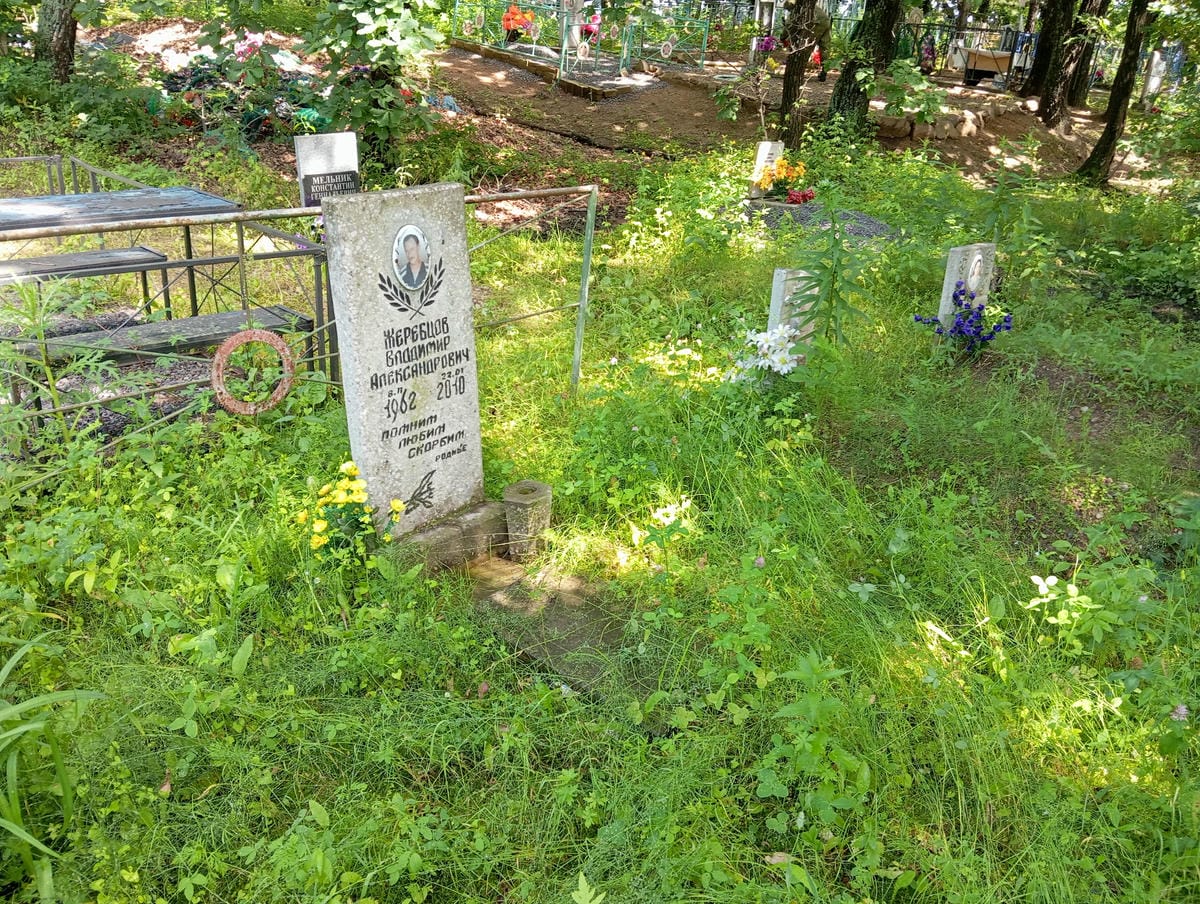 efc21c46-afc8-4c5a-884d-c96cb7708668 Жеребцов Владимир Александрович