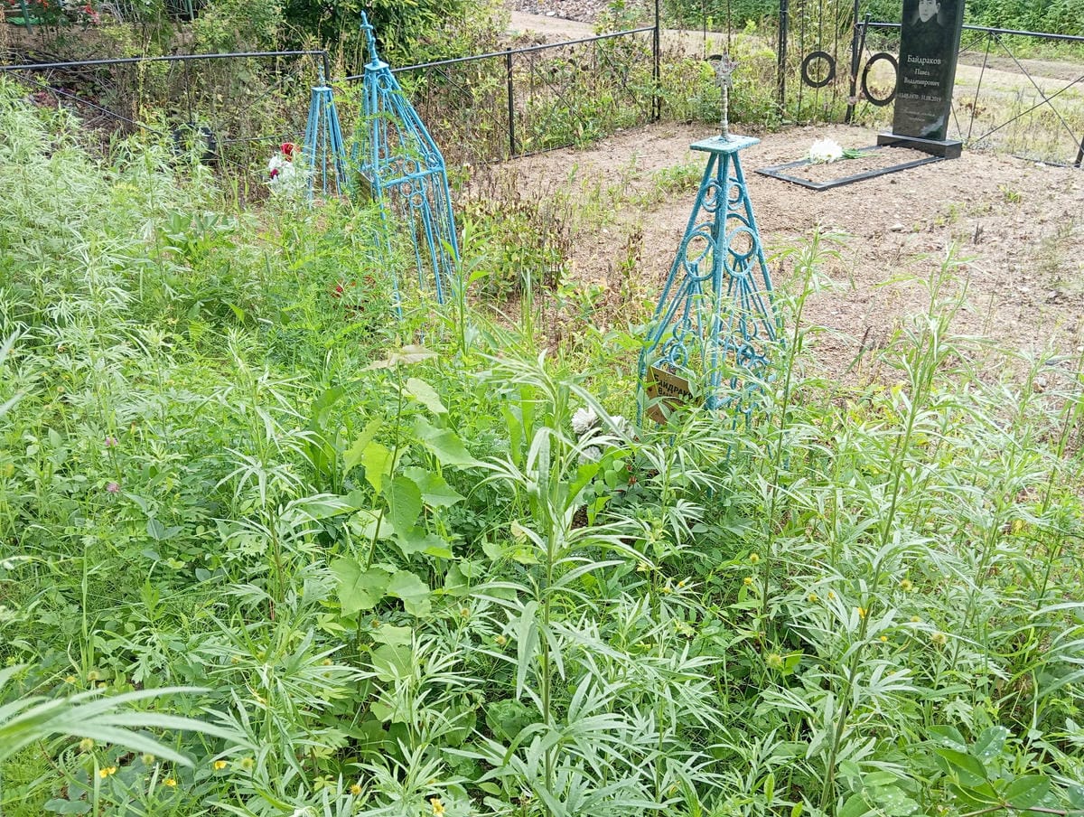 Байдраков Владимир Павлович