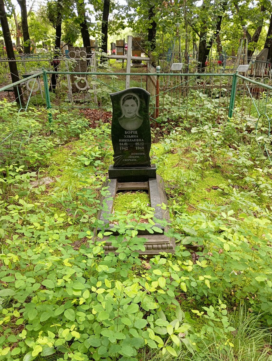 f31de33d-5798-458b-ba97-585df8da9d3f Борщ Ульяна Николаевна