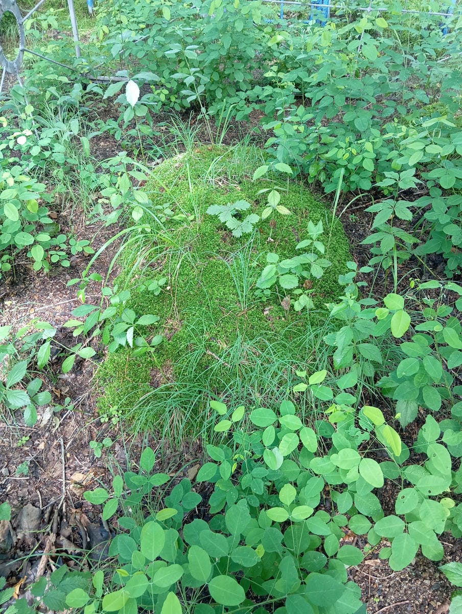 Неизвестно Неизвестно Неизвестно