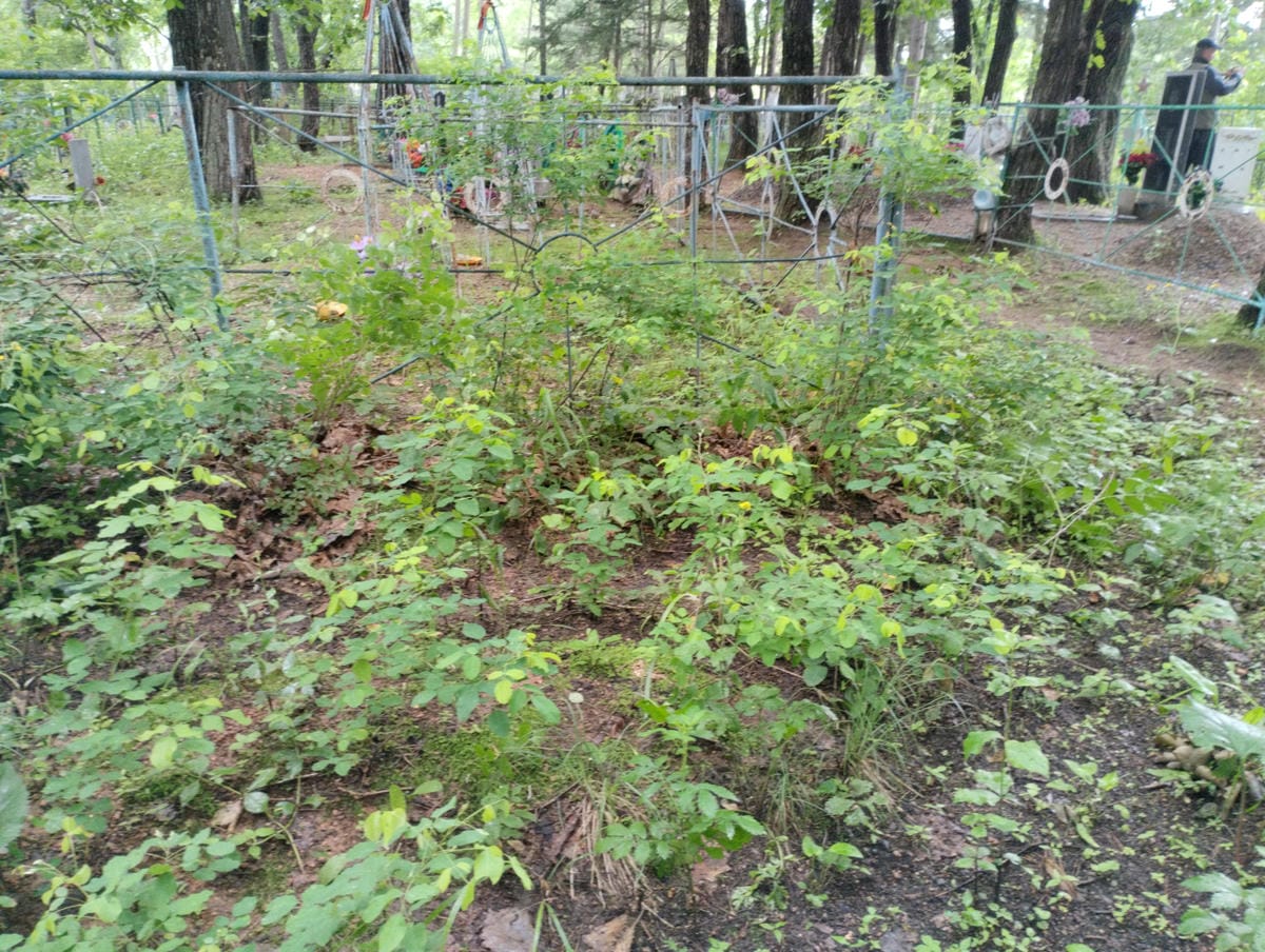 f56668a5-bf80-4d87-b4cf-83eac089c957 Неизвестно Неизвестно Неизвестно