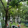 Хижинская Нина Дмитриевна