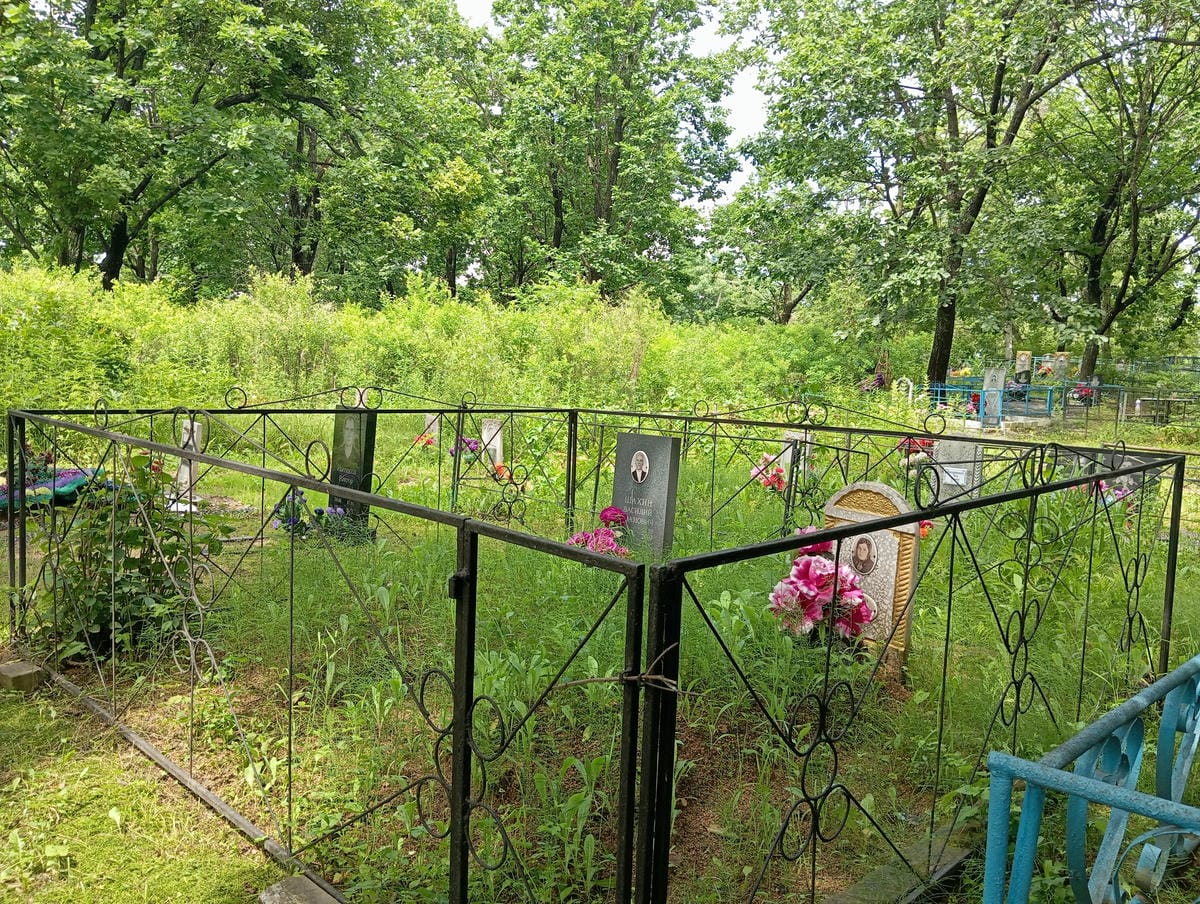 f6ca1840-1b1d-47c3-93c1-fbe1a3e77bc2 Шахина Анастасия Филипповна