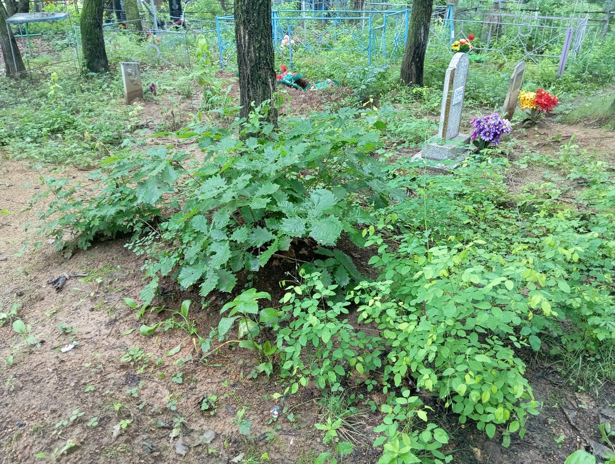 f947df17-a0a7-4eba-9063-ecf7a15d66ec Неизвестно Неизвестно Неизвестно