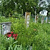 Титова Вера Андреевна
