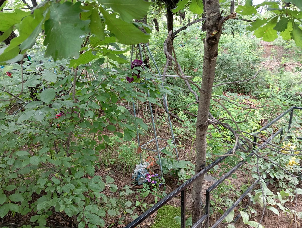 fa8323f6-3380-49ab-91c3-84175b3d36dc Неизвестно Неизвестно Неизвестно